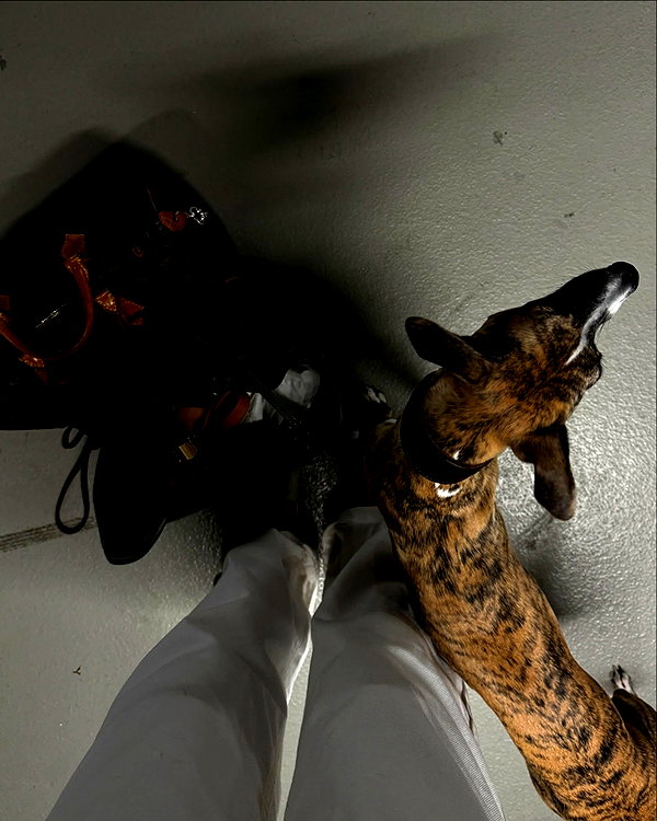 lilih instagram image archive image