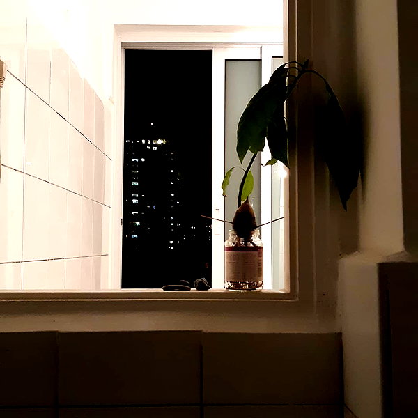 yanavekno instagram image archive image
