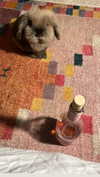 _broock_ Altpins Profile Picture