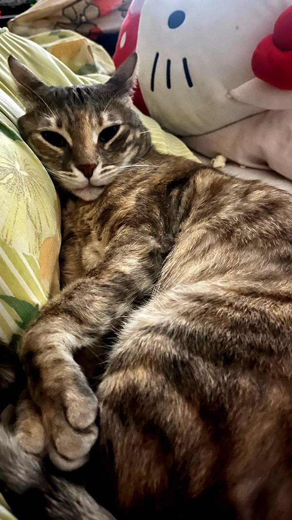 Archived image from @notchicore on Instagram