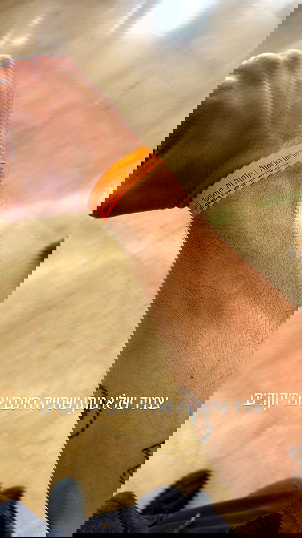 yannaidebeer yannaidebeer archive image