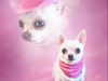 violetpau_ Altpins Profile Picture