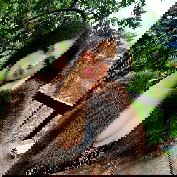 danbbyyy danbbyyy archive image