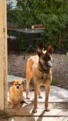 alma.almog Altpins Profile Picture