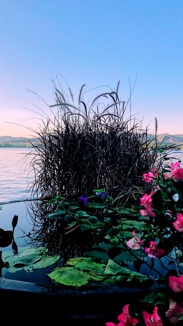 nikoleta.milenova instagram image archive image