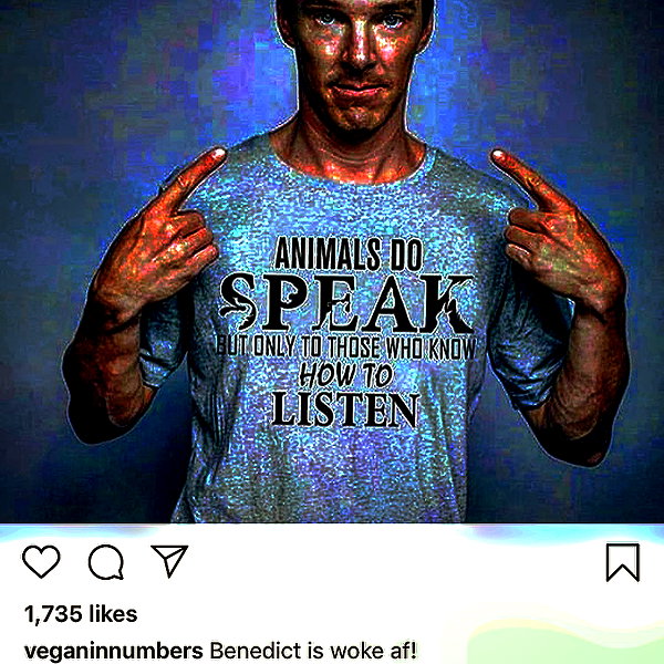 wormsheriff instagram image archive image