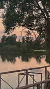 alisen.mari Altpins Profile Picture
