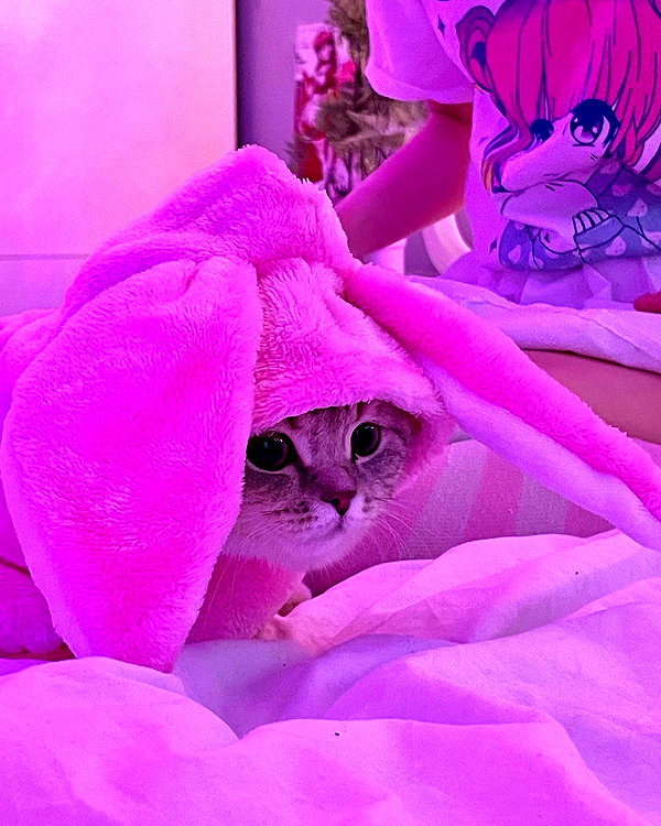 eva.mosevichhh instagram image archive image
