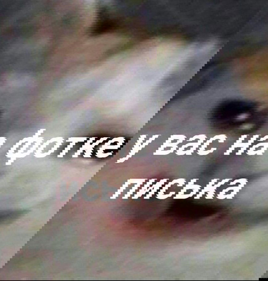 annfigmax instagram image archive image