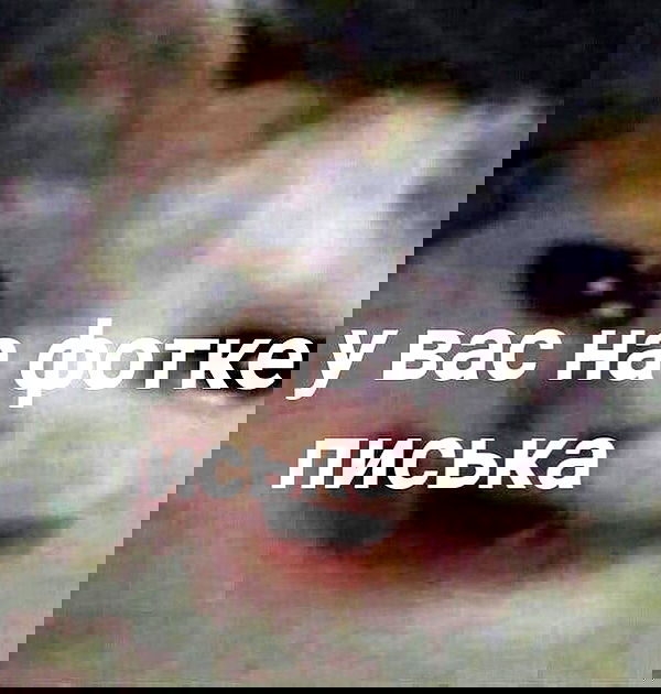 annfigmax image ~ Altpins