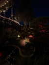 livia._.paige Altpins Profile Picture