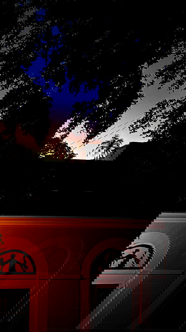 taylor.creeden taylor.creeden archive image