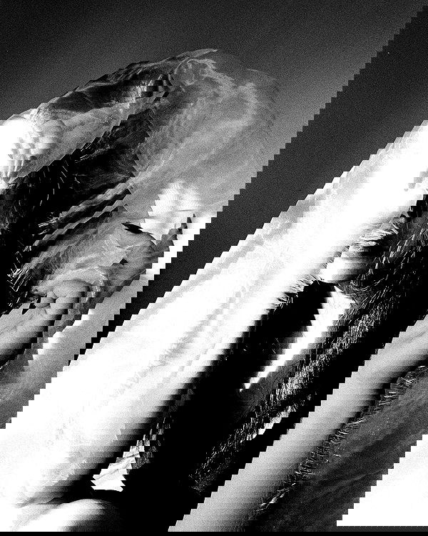 ting851204 ting851204 archive image