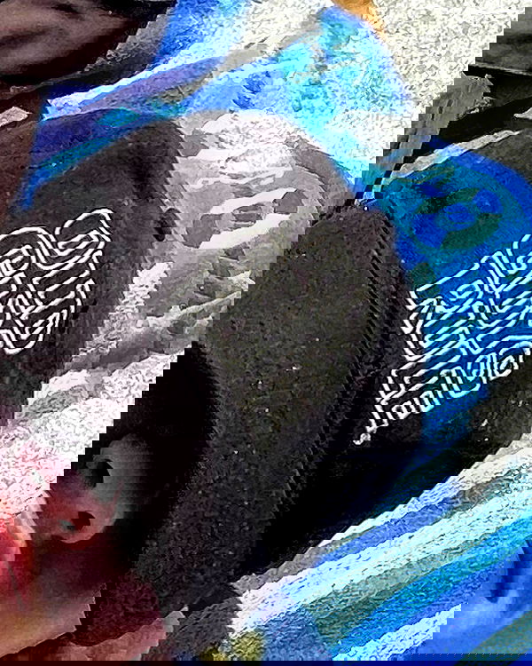 jtilb2 image ~ Altpins