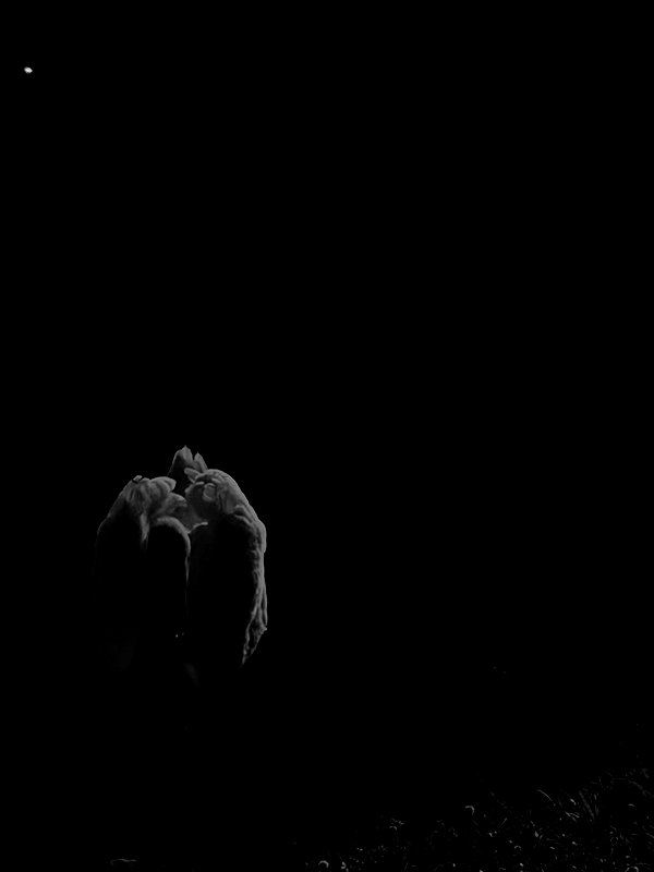 naivems_ archive image