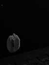 naivems_ Altpins Profile Picture