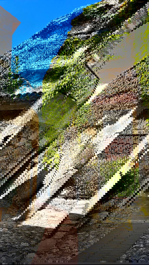 taylor.creeden taylor.creeden archive image