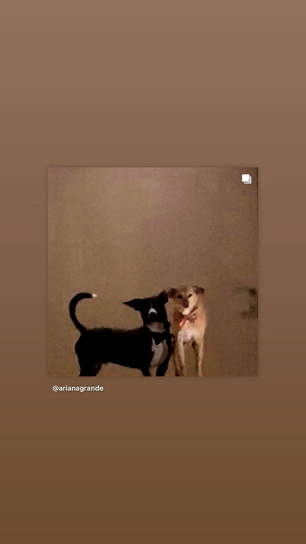 arianagrande instagram image archive image