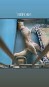 gabbyepstein Altpins Profile Picture
