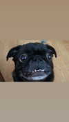 babynympho_archive Altpins Profile Picture