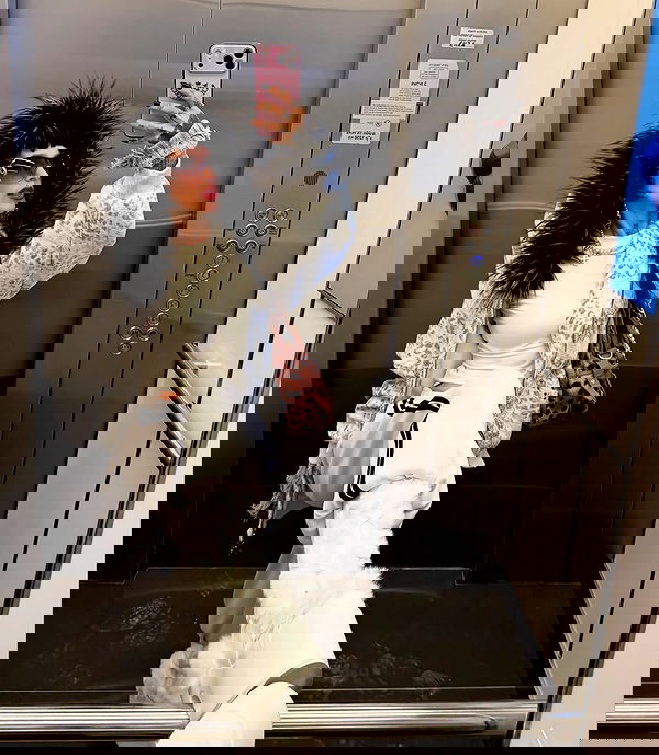 strawberryshanz strawberryshanz archive image