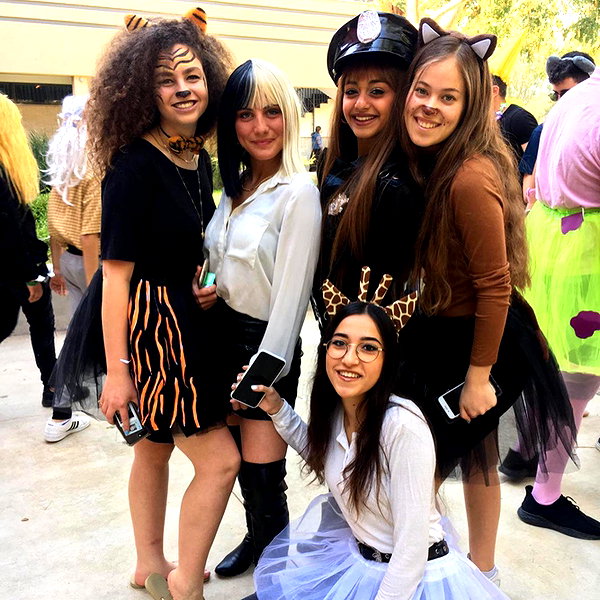 tirtza_cohen instagram image archive image