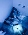 angelwithashotgunxx Altpins Profile Picture