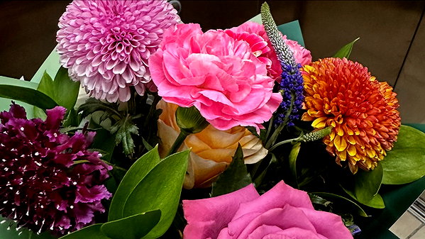 nicoescarlete instagram image archive image