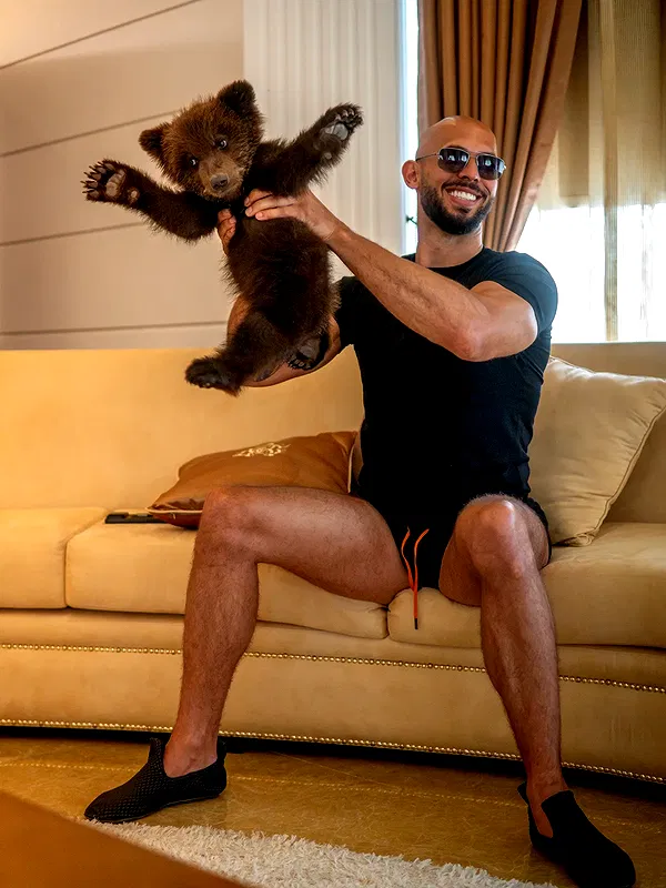 tateauraa tateauraa archive image