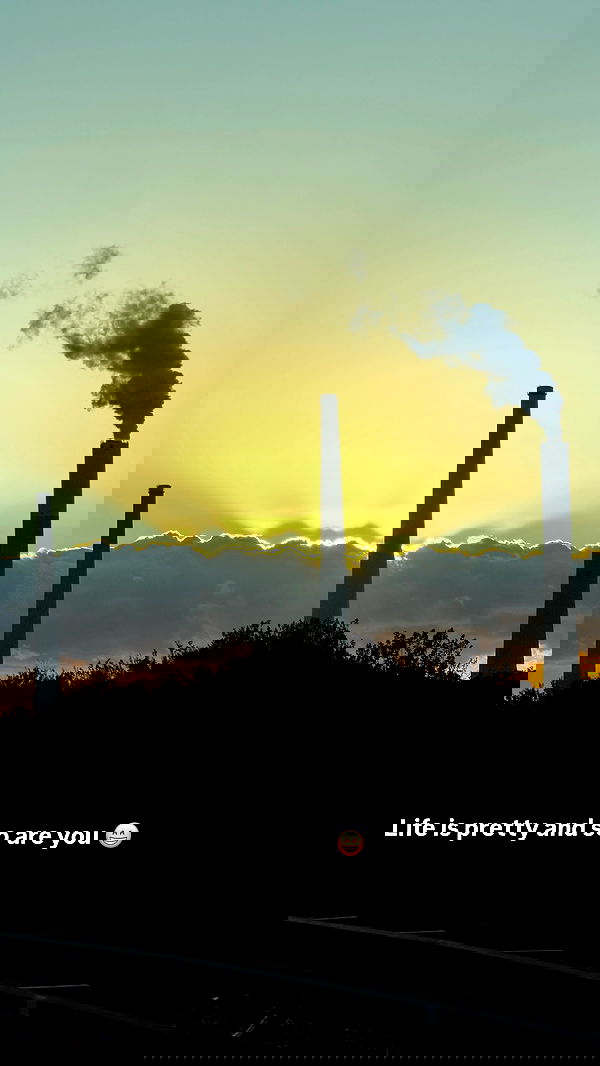 strawberryshanz strawberryshanz archive image