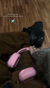 rott3nbambi Altpins Profile Picture
