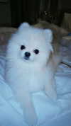 imshigh_ Altpins Profile Picture