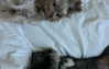 daisy_r_19 Altpins Profile Picture