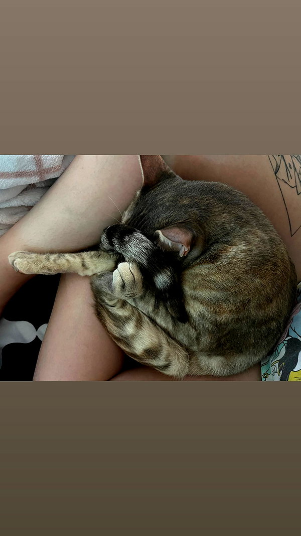 Archived image from @notchicore on Instagram
