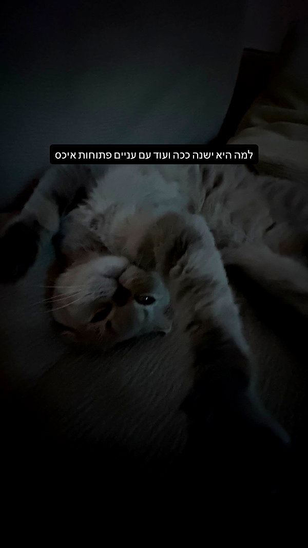 laluzone instagram image archive image