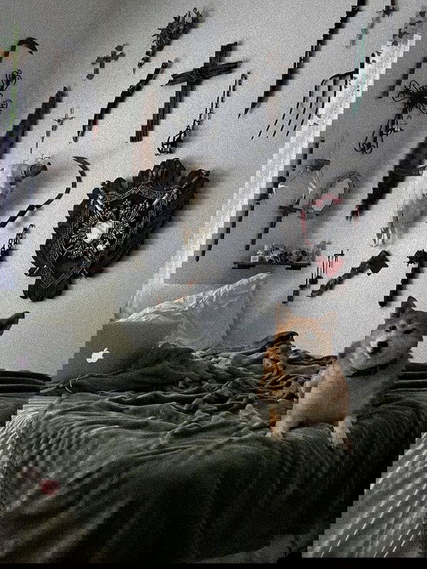 zommmbri zommmbri archive image