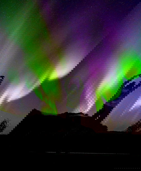 taylor.creeden taylor.creeden archive image