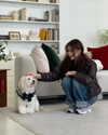 dear.zia Altpins Profile Picture