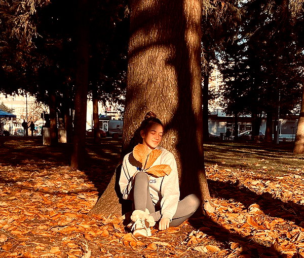 ancideja instagram image archive image