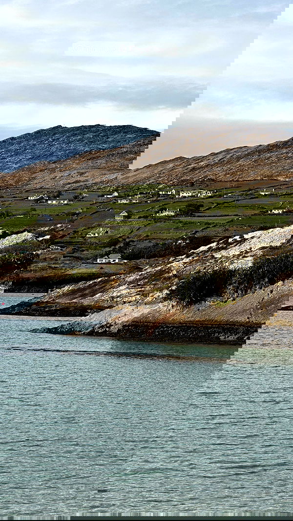 taylor.creeden taylor.creeden archive image