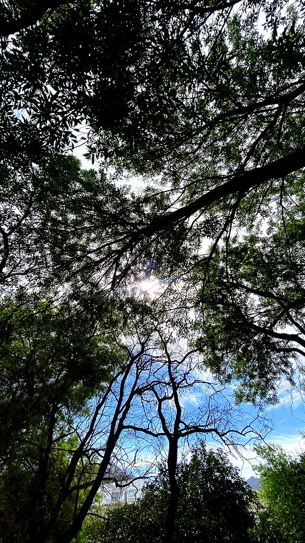 maruliners instagram image archive image