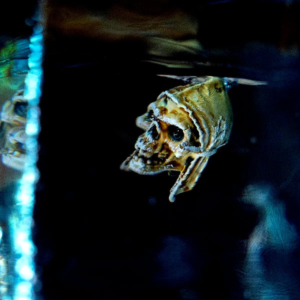 thenerdforge instagram image archive image