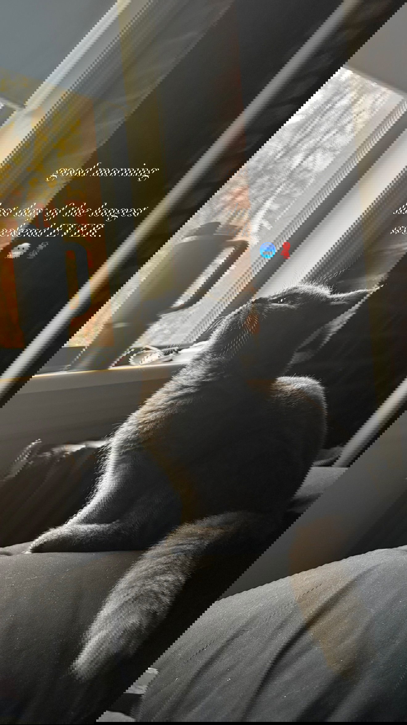 rchhhll instagram image archive image