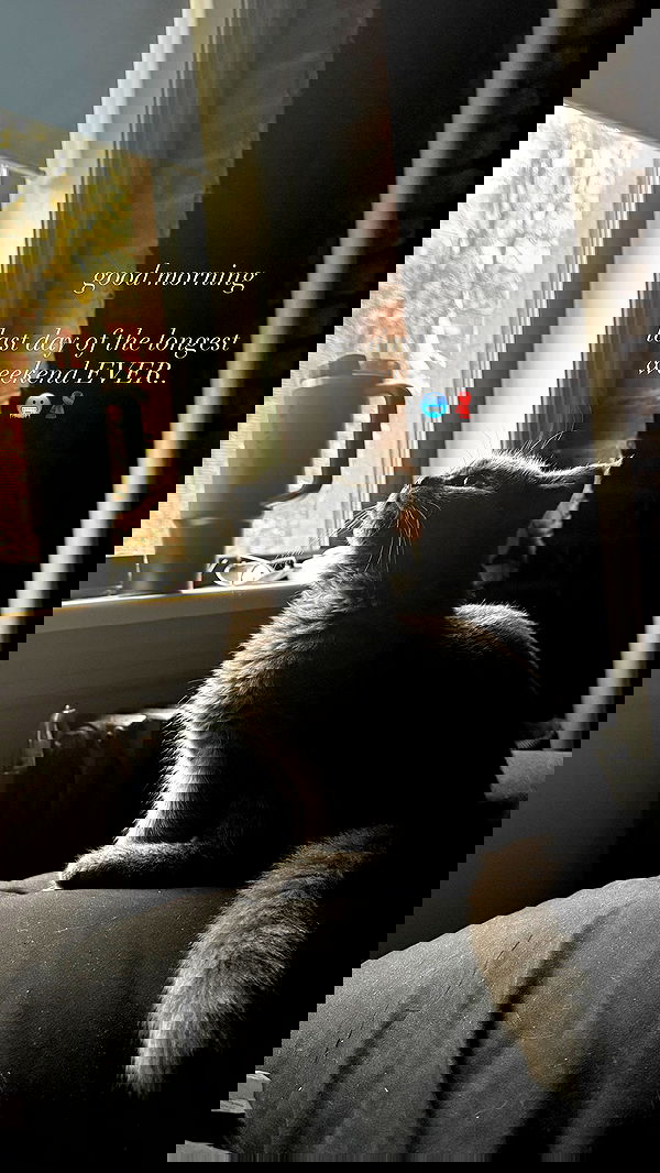 rchhhll image ~ Altpins