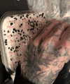biohazard.g1rl Altpins Profile Picture