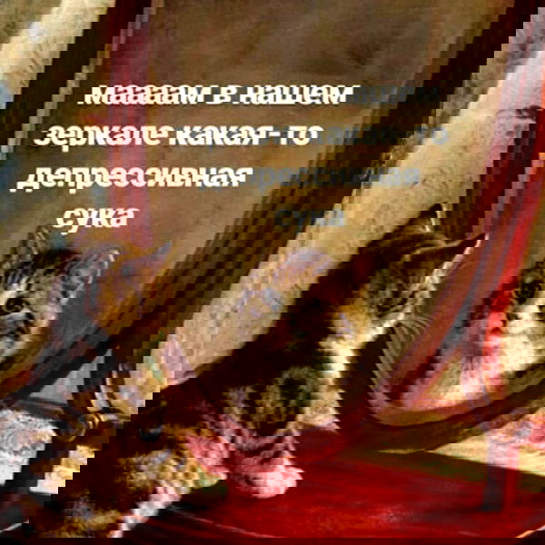 pinx_ir pinx_ir archive image