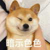 erokochiba Altpins Profile Picture