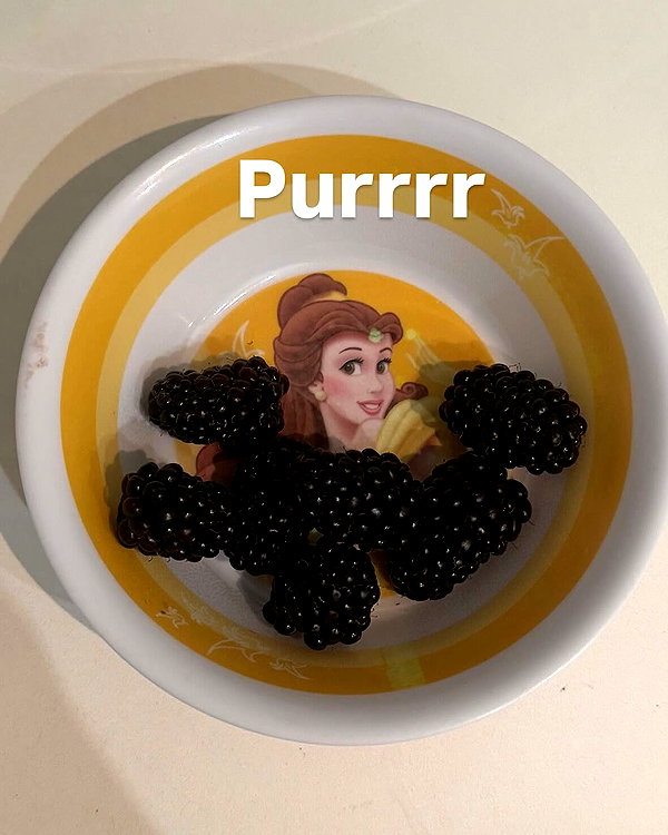 ellachristo instagram image archive image
