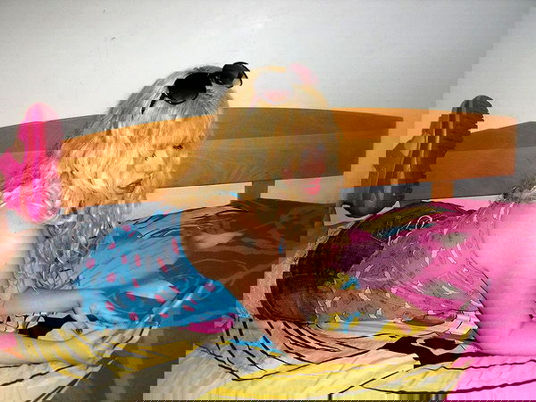 ormosheee ormosheee archive image