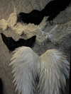 31cna_ Altpins Profile Picture